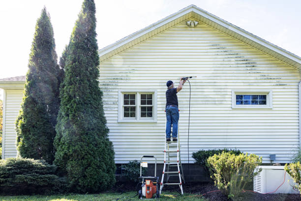 Best Affordable Pressure Washing  in Denmark, SC