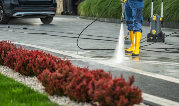 Deck Cleaning Services in Denmark, SC