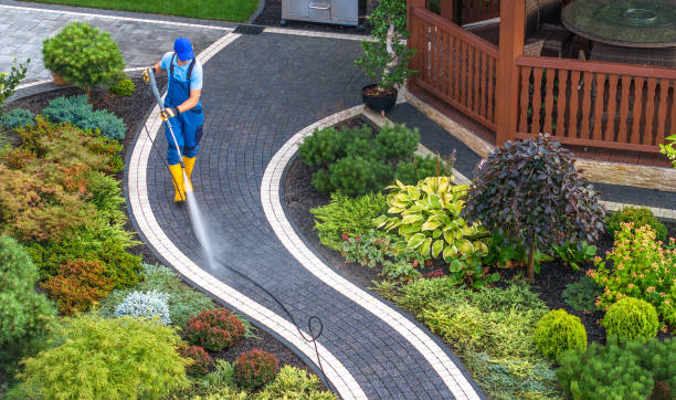 Best Roof Pressure Washing  in Denmark, SC